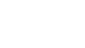 Deloitte wit